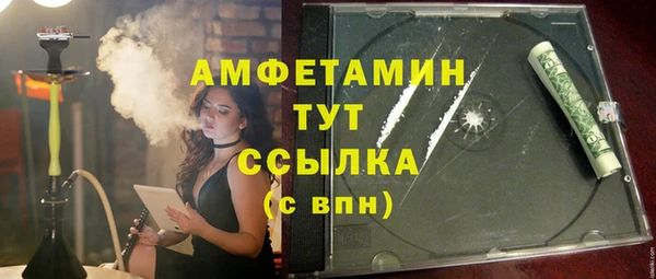 мдпв Бородино