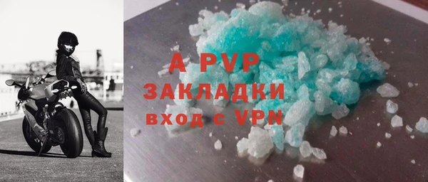 мдпв Бородино