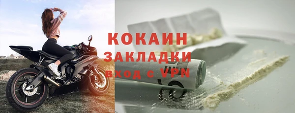 мдпв Бородино