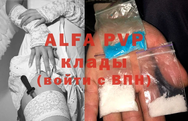 стаф Анжеро-Судженск