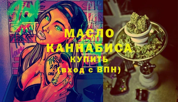мдпв Бородино